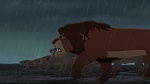 The Lion King 2 : Simba's Pride picture