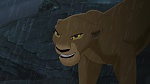 The Lion King 2 : Simba's Pride picture