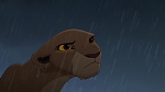 The Lion King 2 : Simba's Pride picture