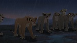The Lion King 2 : Simba's Pride picture