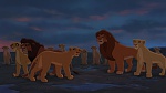The Lion King 2 : Simba's Pride picture