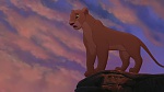The Lion King 2 : Simba's Pride picture