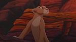 The Lion King 2 : Simba's Pride picture