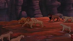 The Lion King 2 : Simba's Pride picture