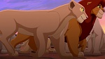 The Lion King 2 : Simba's Pride picture