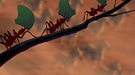 Image The Lion King