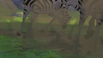 Image The Lion King