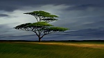 Image The Lion King