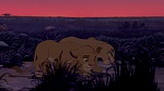 The Lion King picture