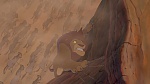 Image The Lion King