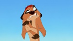 The Lion King picture