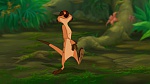 The Lion King picture