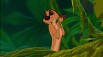 Image The Lion King