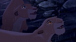 Image The Lion King