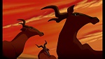 The Lion King 1 1/2 : Hakuna Matata picture