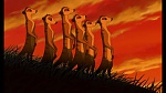 The Lion King 1 1/2 : Hakuna Matata picture
