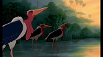 The Lion King 1 1/2 : Hakuna Matata picture