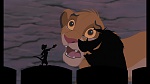 The Lion King 1 1/2 : Hakuna Matata picture