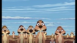 The Lion King 1 1/2 : Hakuna Matata picture