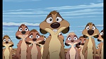 The Lion King 1 1/2 : Hakuna Matata picture