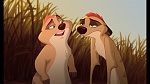 The Lion King 1 1/2 : Hakuna Matata picture