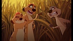 The Lion King 1 1/2 : Hakuna Matata picture
