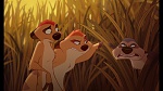 The Lion King 1 1/2 : Hakuna Matata picture