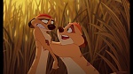 The Lion King 1 1/2 : Hakuna Matata picture