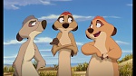 The Lion King 1 1/2 : Hakuna Matata picture