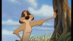 The Lion King 1 1/2 : Hakuna Matata picture