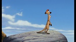 The Lion King 1 1/2 : Hakuna Matata picture