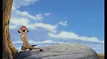 The Lion King 1 1/2 : Hakuna Matata picture
