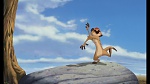 The Lion King 1 1/2 : Hakuna Matata picture