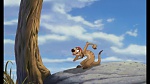 The Lion King 1 1/2 : Hakuna Matata picture