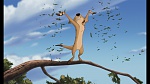 The Lion King 1 1/2 : Hakuna Matata picture