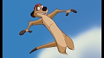 The Lion King 1 1/2 : Hakuna Matata picture