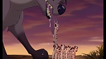 The Lion King 1 1/2 : Hakuna Matata picture