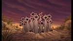 The Lion King 1 1/2 : Hakuna Matata picture