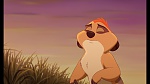 Image The Lion King 1 1/2 : Hakuna Matata