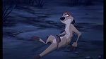 The Lion King 1 1/2 : Hakuna Matata picture