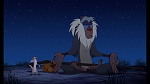 The Lion King 1 1/2 : Hakuna Matata picture