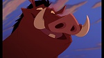 The Lion King 1 1/2 : Hakuna Matata picture