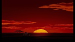 Image The Lion King 1 1/2 : Hakuna Matata