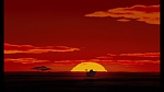 Image The Lion King 1 1/2 : Hakuna Matata
