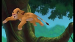 Image The Lion King 1 1/2 : Hakuna Matata