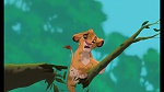 Image The Lion King 1 1/2 : Hakuna Matata