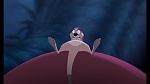 Image The Lion King 1 1/2 : Hakuna Matata