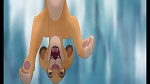 Image The Lion King 1 1/2 : Hakuna Matata