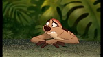 Image The Lion King 1 1/2 : Hakuna Matata