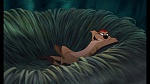 Image The Lion King 1 1/2 : Hakuna Matata